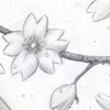 Fujiwarano Sai,'Hikaru no Go'